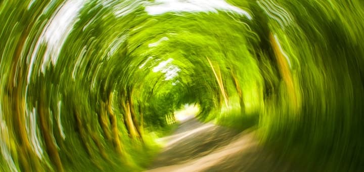 Distorted tunnel vision view of an outdoor path.